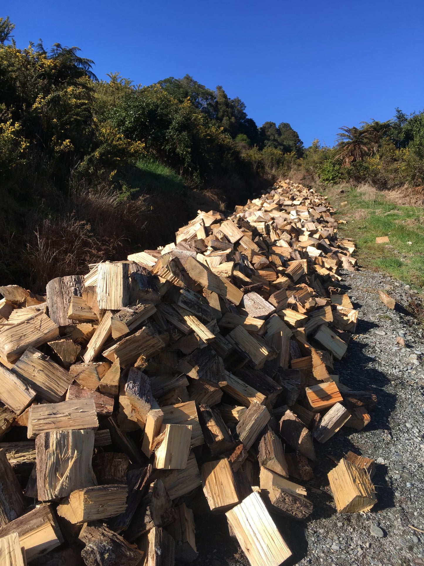 FIREWOOD