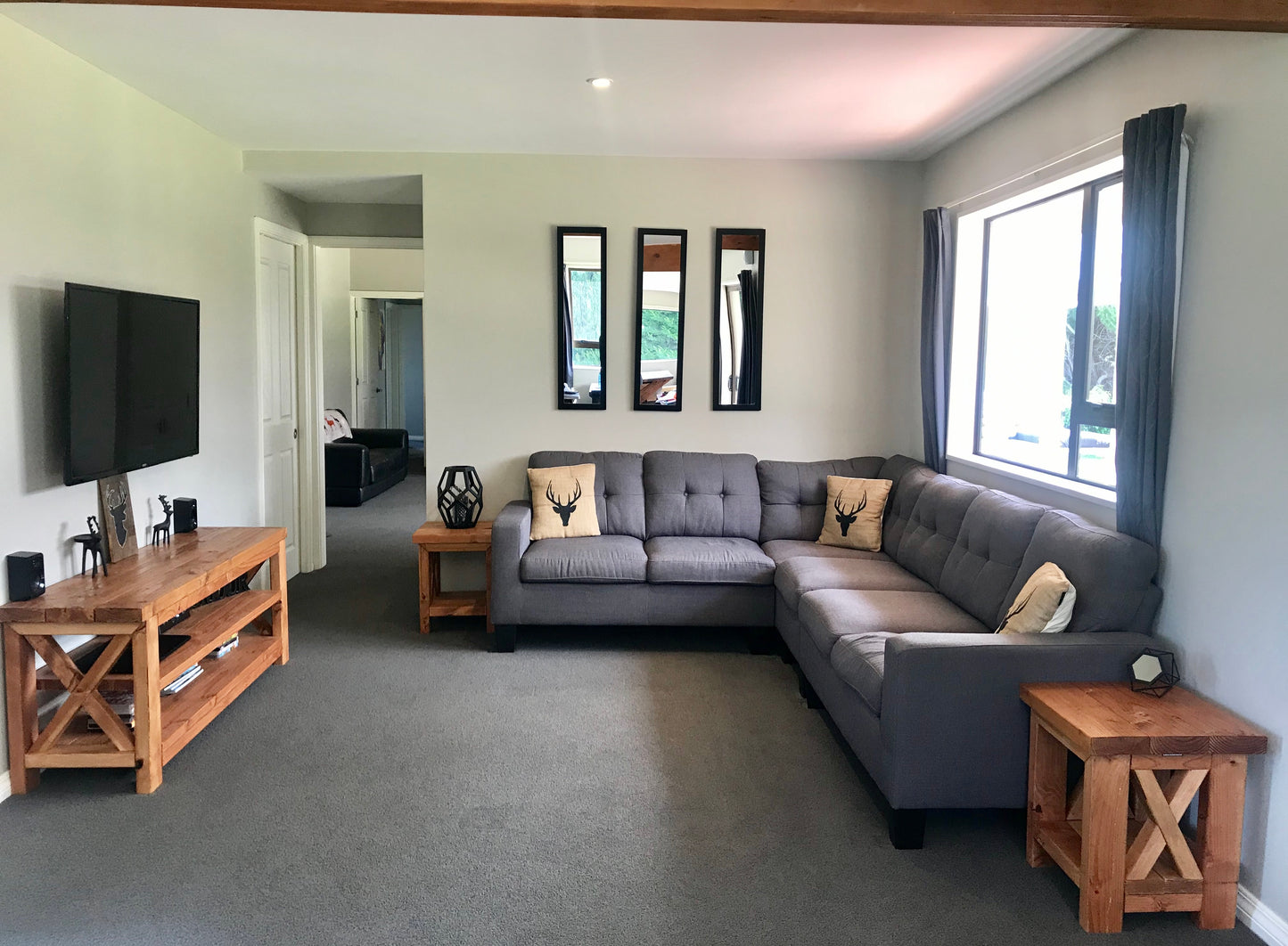 Entertainment Unit