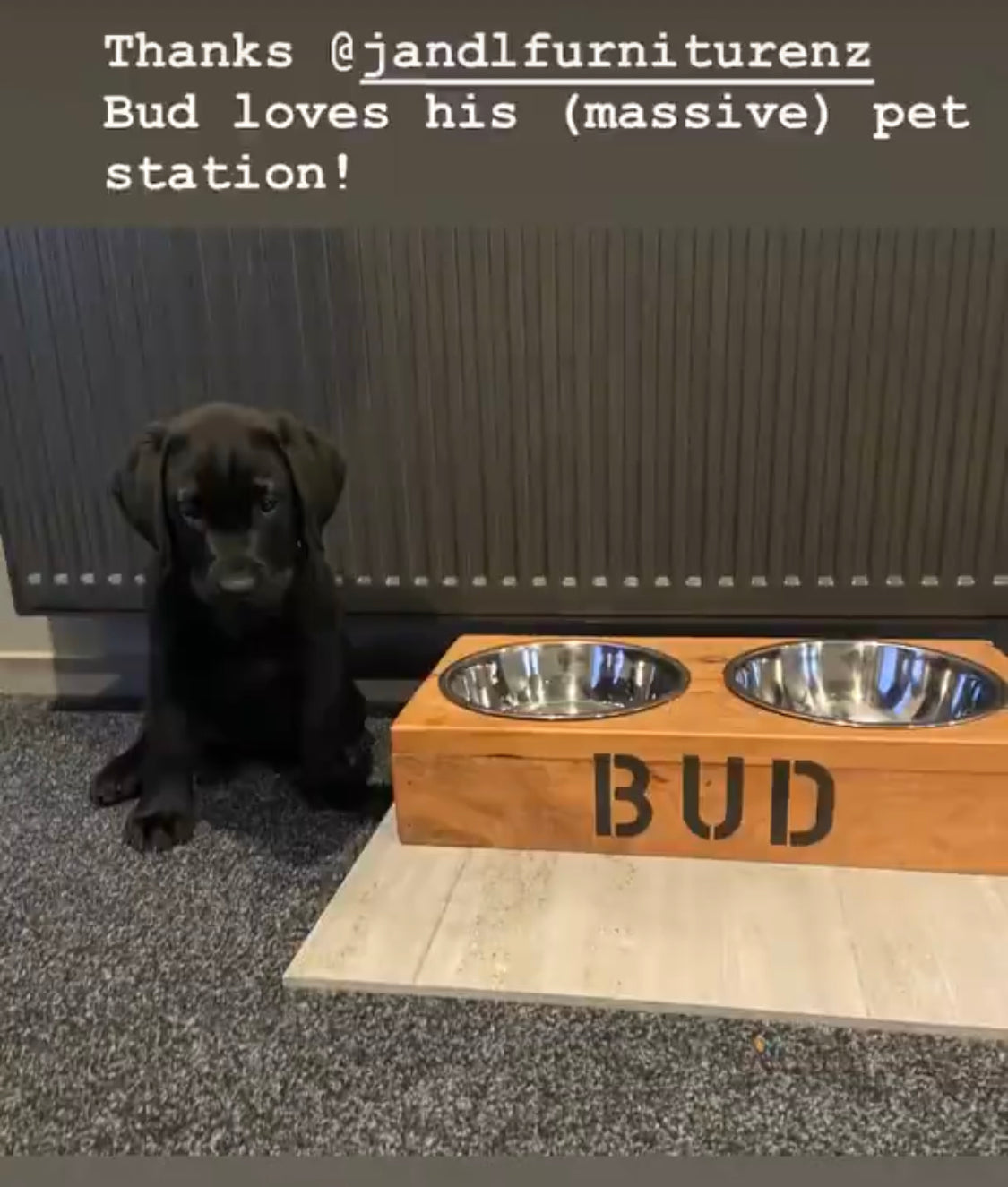 Pet Stations - Macrocarpa