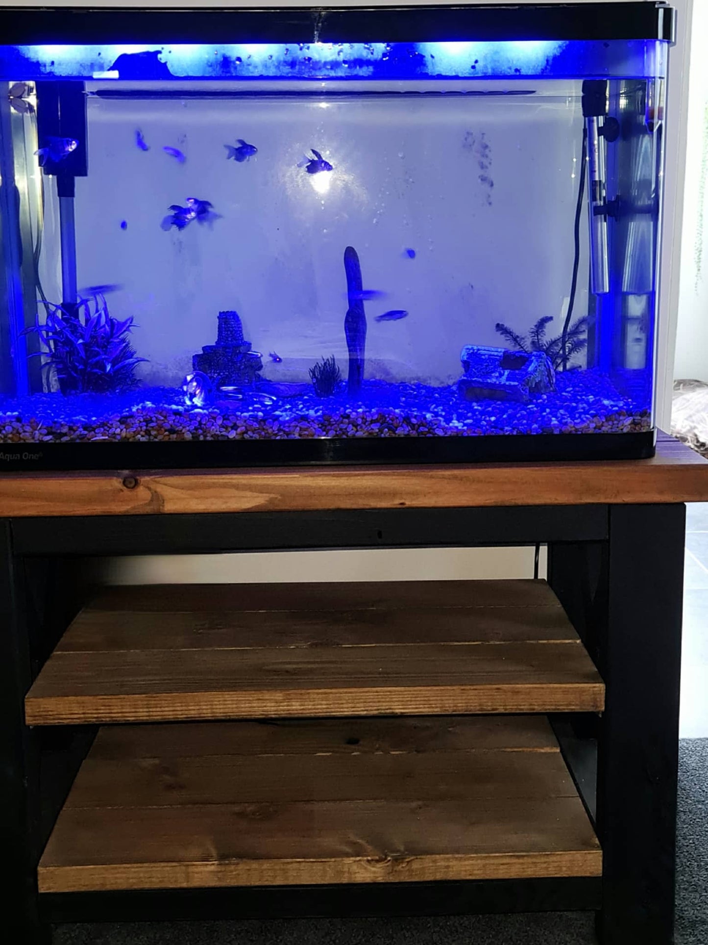 Entertainment Unit