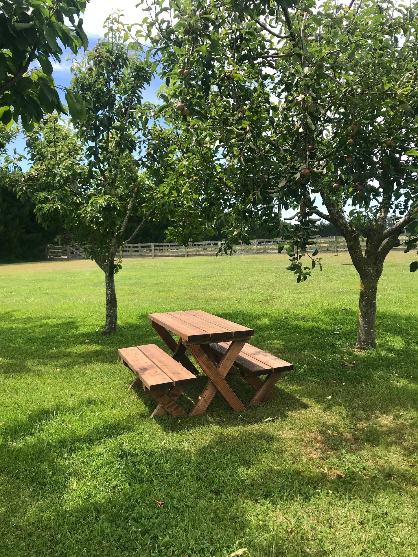 Children’s Table Set