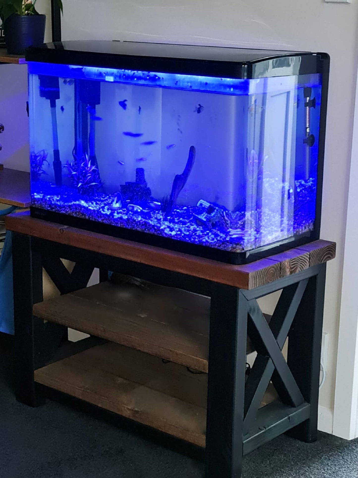 Entertainment Unit