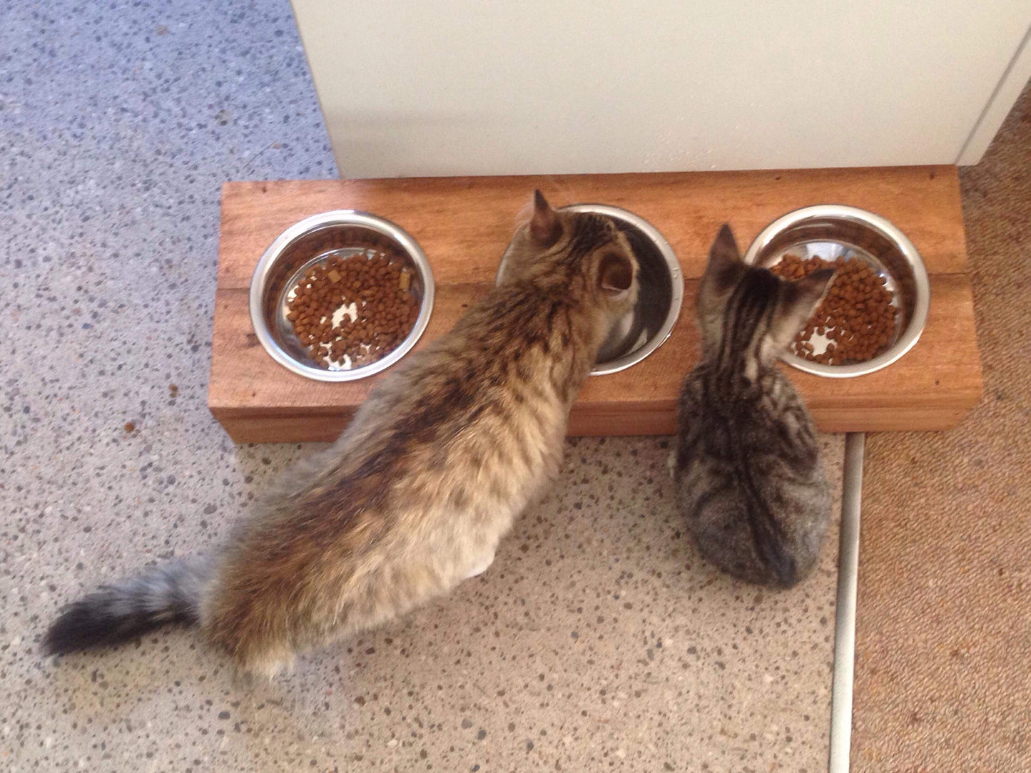 Pet Stations - Macrocarpa